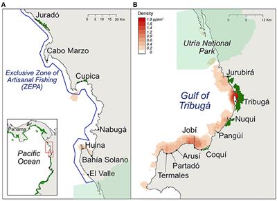 Winners and Losers in Area-Based Management of a Small-Scale Fishery in the Colombian Pacific